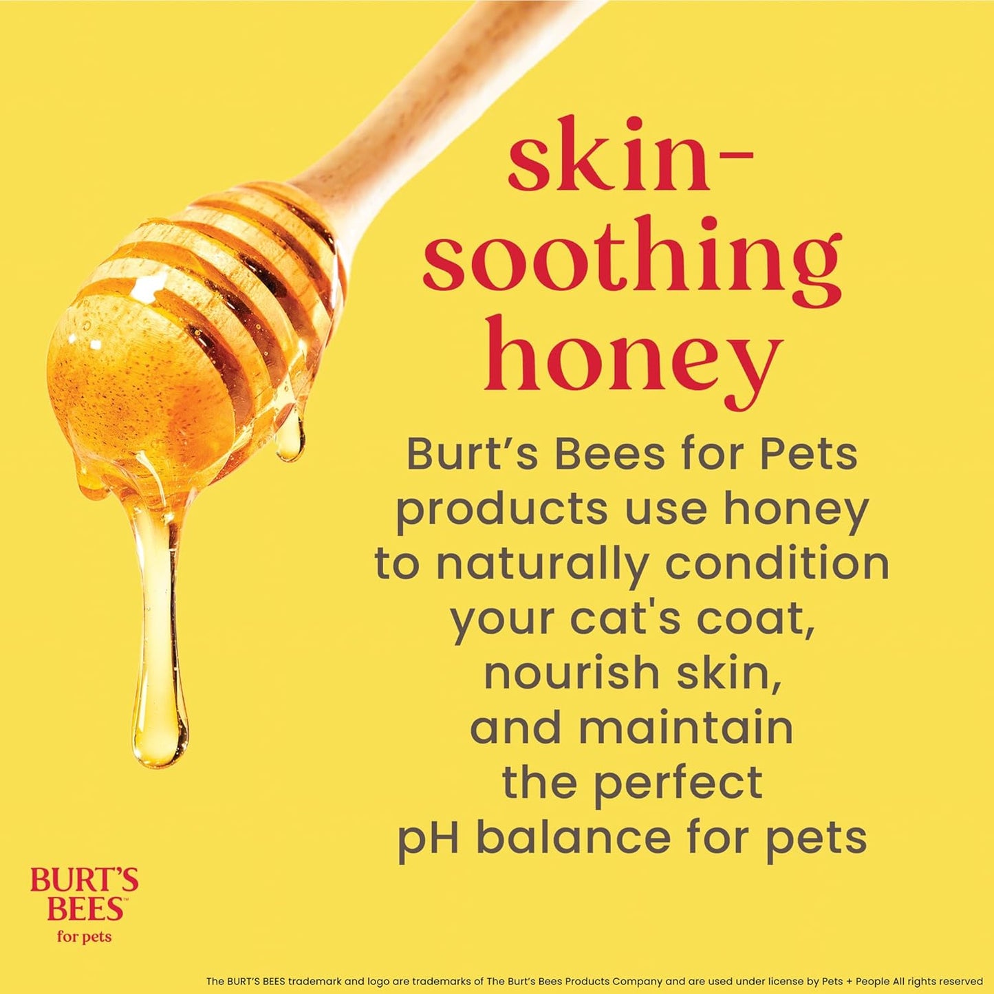 Cat Natural Waterless Shampoo with Apple and Honey | Cat Waterless Shampoo Spray | Easy to Use Cat Dry Shampoo for Fresh Skin and Fur without a Bath | Made in the USA, 10 Oz